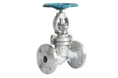 Globe Valves Manufacturer in India